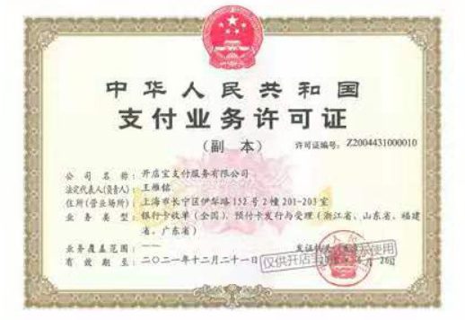 开店宝买支付牌照借了3个亿欲将45％股权拍卖