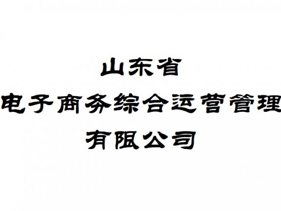 山东省电子商务综合运营管理有限公司